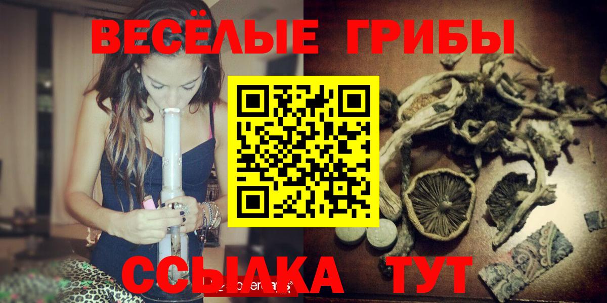 Галлюциногенные грибы Cubensis  Псилоцибиновые грибы MAGIC MUSHROOMS  Горно-Алтайск  Вход с VPN 